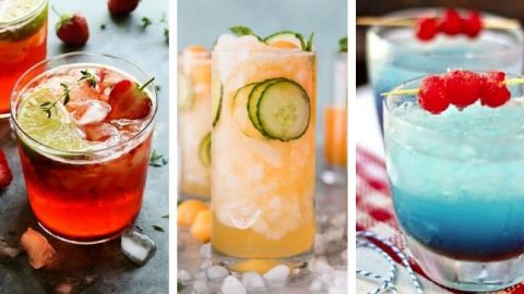 Vegan Gin Cocktails for Summer